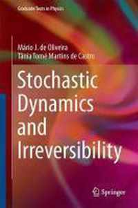 Stochastic Dynamics and Irreversibility