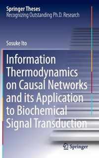Information Thermodynamics on Causal Networks and its Application to Biochemical