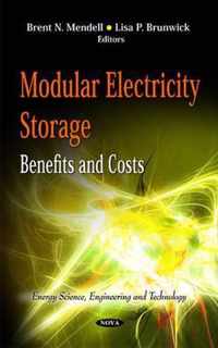 Modular Electricity Storage