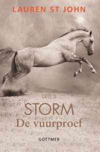 Storm 3 -   De vuurproef