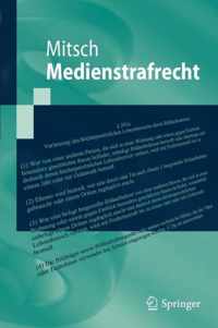 Medienstrafrecht