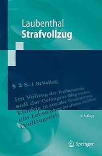 Strafvollzug