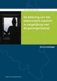 Het groene gras - De beleving van het elektronisch toezicht in vergelijking met de gevangenisstraf