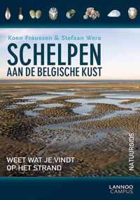 Schelpen aan de Belgische kust