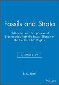 Fossils and Strata