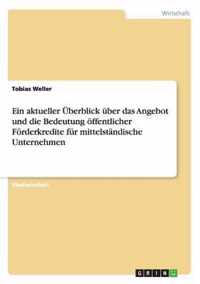 Ein aktueller UEberblick uber das Angebot und die Bedeutung oeffentlicher Foerderkredite fur mittelstandische Unternehmen