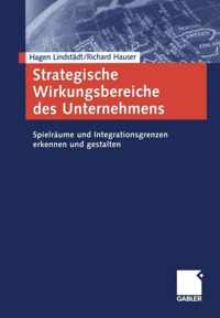 Strategische Wirkungsbereiche Des Unternehmens