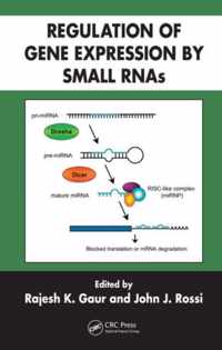 Regulation of Gene Expression by Small RNAs