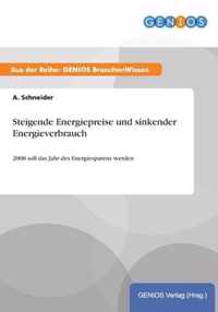 Steigende Energiepreise und sinkender Energieverbrauch