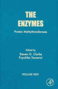 The Enzymes