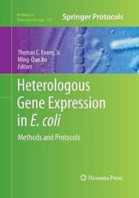 Heterologous Gene Expression in E.coli