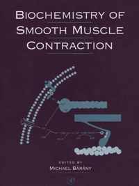 Biochemistry of Smooth Muscle Contraction