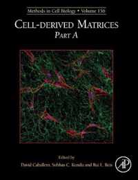 Cell-derived Matrices Part A