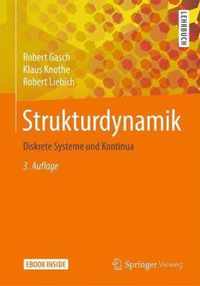 Strukturdynamik