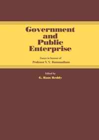 Government and Public Enterprise: Essays in Honour of Professor V.V. Ramanadham