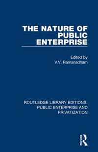 The Nature of Public Enterprise