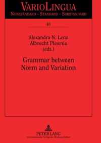 Grammar between Norm and Variation