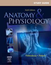 Study Guide for Anatomy & Physiology