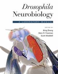 Drosophila Neurobiology