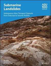 Submarine Landslides