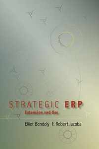 Strategic ERP Extension and Use