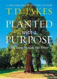 Planted with a Purpose God Turns Pressure into Power