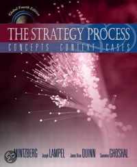 The Strategy Process