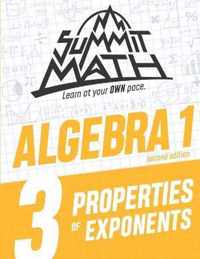 Summit Math Algebra 1 Book 3