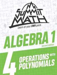 Summit Math Algebra 1 Book 4