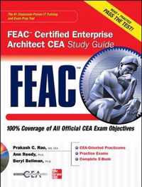 FEAC Certified Enterprise Architect CEA Study Guide