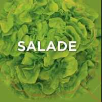 Salade