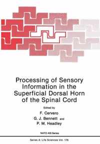 Processing of Sensory Information in the Superficial Dorsal Horn of the Spinal Cord