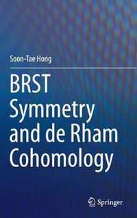 BRST Symmetry and de Rham Cohomology