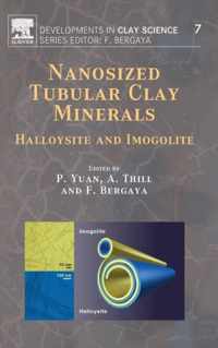 Nanosized Tubular Clay Minerals