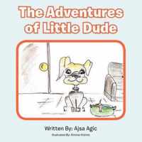 The Adventures of Little Dude