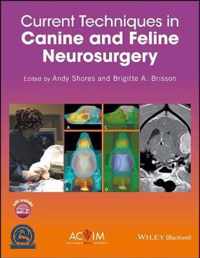 Current Techniques in Canine and Feline Neurosurgery