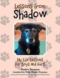 Lessons from Shadow