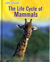 The Life Cycle of Mammals