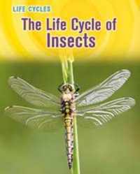 The Life Cycle of Insects