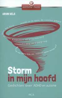 Storm in mijn hoofd