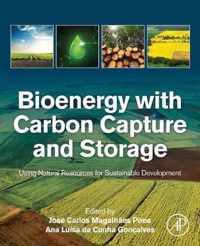 Bioenergy with Carbon Capture and Storage