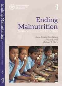 Ending Malnutrition: From Commitment to Action