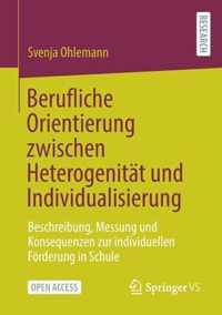 Berufliche Orientierung Zwischen Heterogenitat Und Individualisierung