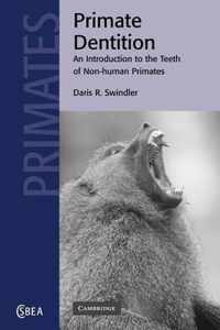 Primate Dentition