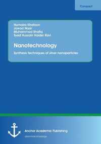 Nanotechnology. Synthesis techniques of silver nanoparticles