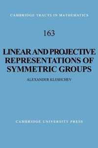 Linear and Projective Representations of Symmetric Groups