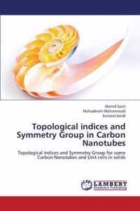 Topological Indices and Symmetry Group in Carbon Nanotubes