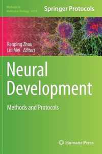 Neural Development