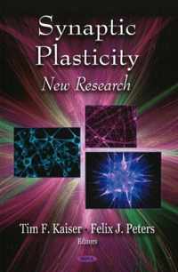 Synaptic Plasticity