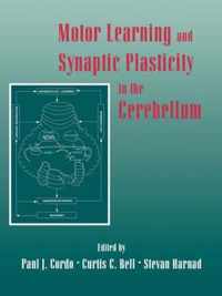 Motor Learning and Synaptic Plasticity in the Cerebellum